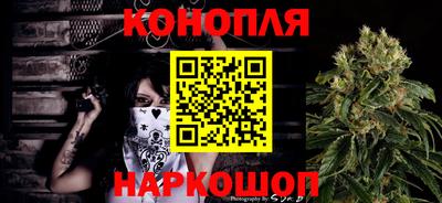сатива Моздок