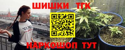 сатива Моздок
