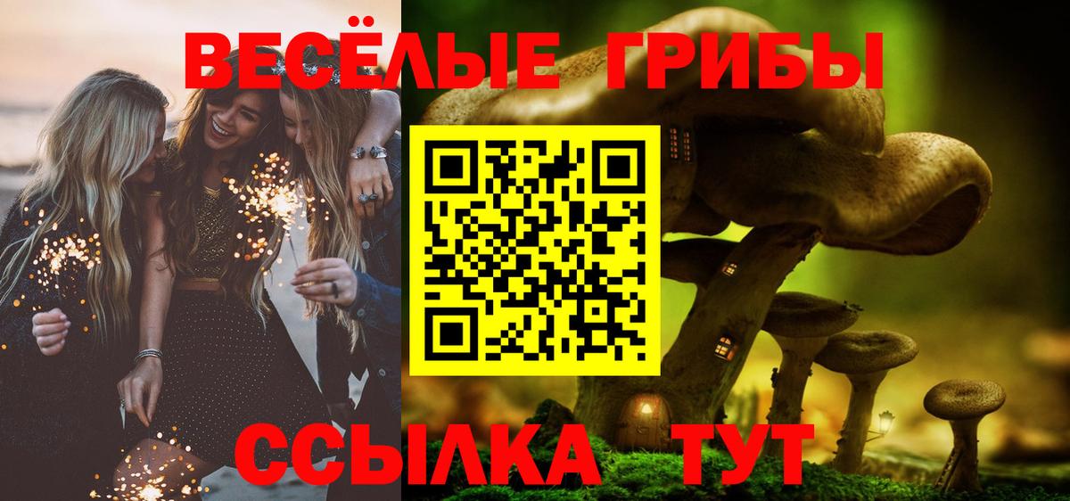 купить наркотики сайты  Галлюциногенные грибы Psilocybe  Псилоцибиновые грибы GOLDEN TEACHER  Вход с VPN  Вятские Поляны 