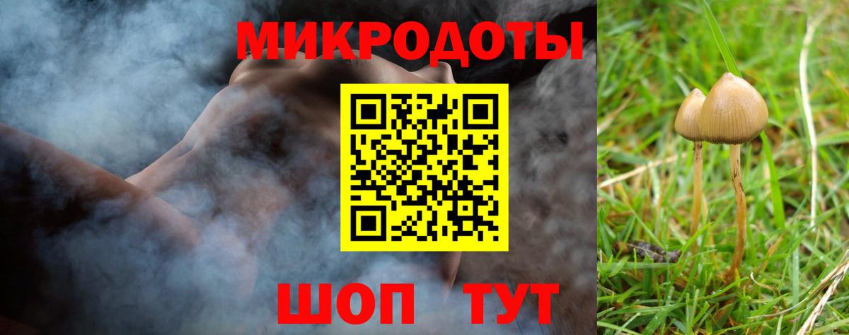 Галлюциногенные грибы Psilocybe Вятские Поляны